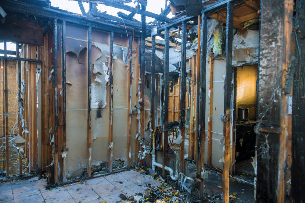 Professional Fire Damage Restoration technician working in Franklin Park, FL